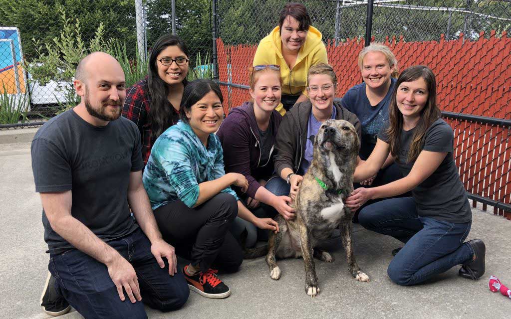 Volunteering Oregon Humane Society