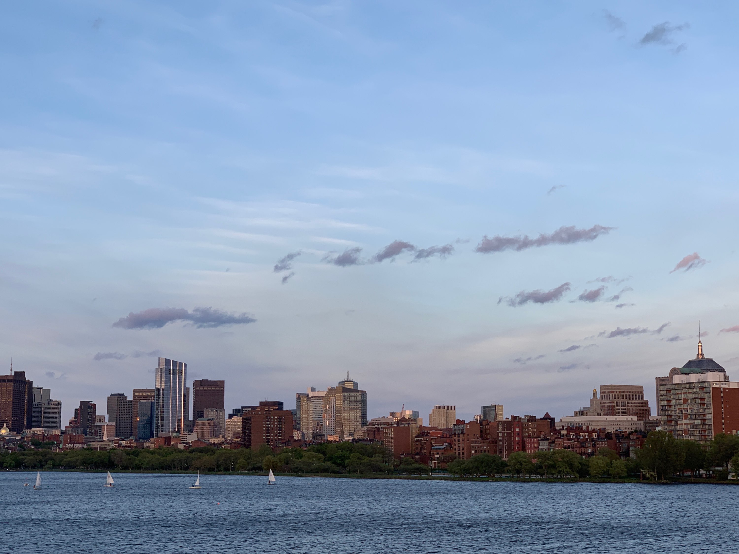 INTA 2019 in Boston