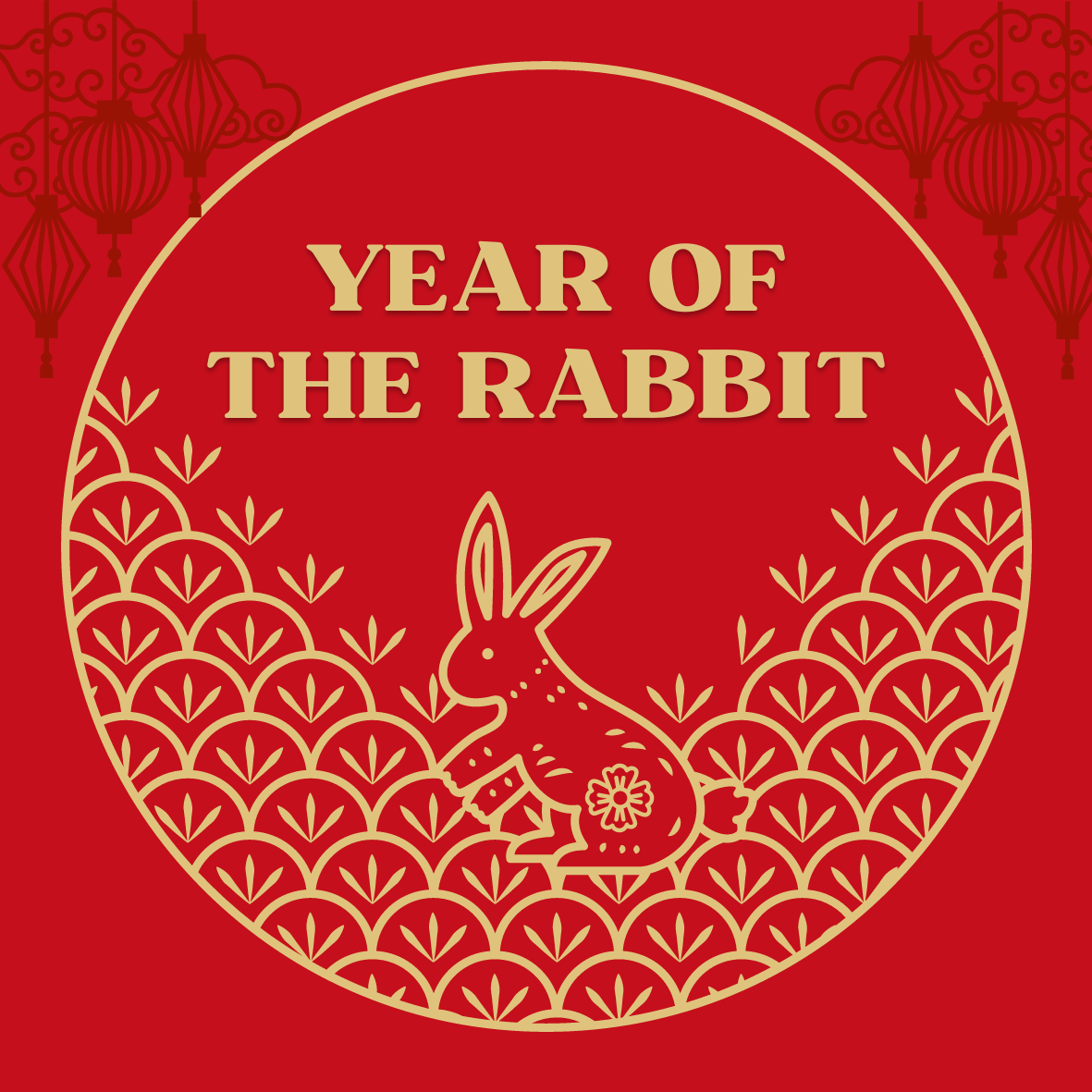 Year of the Rabbit